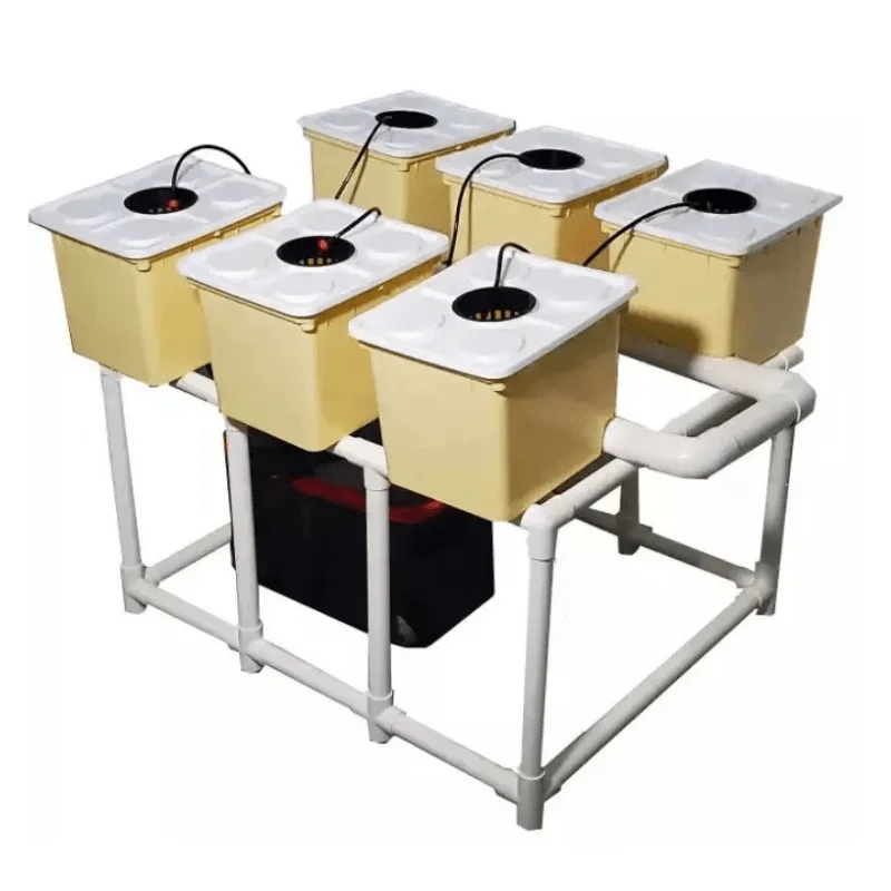 Dutch Bucket Hydroponic System